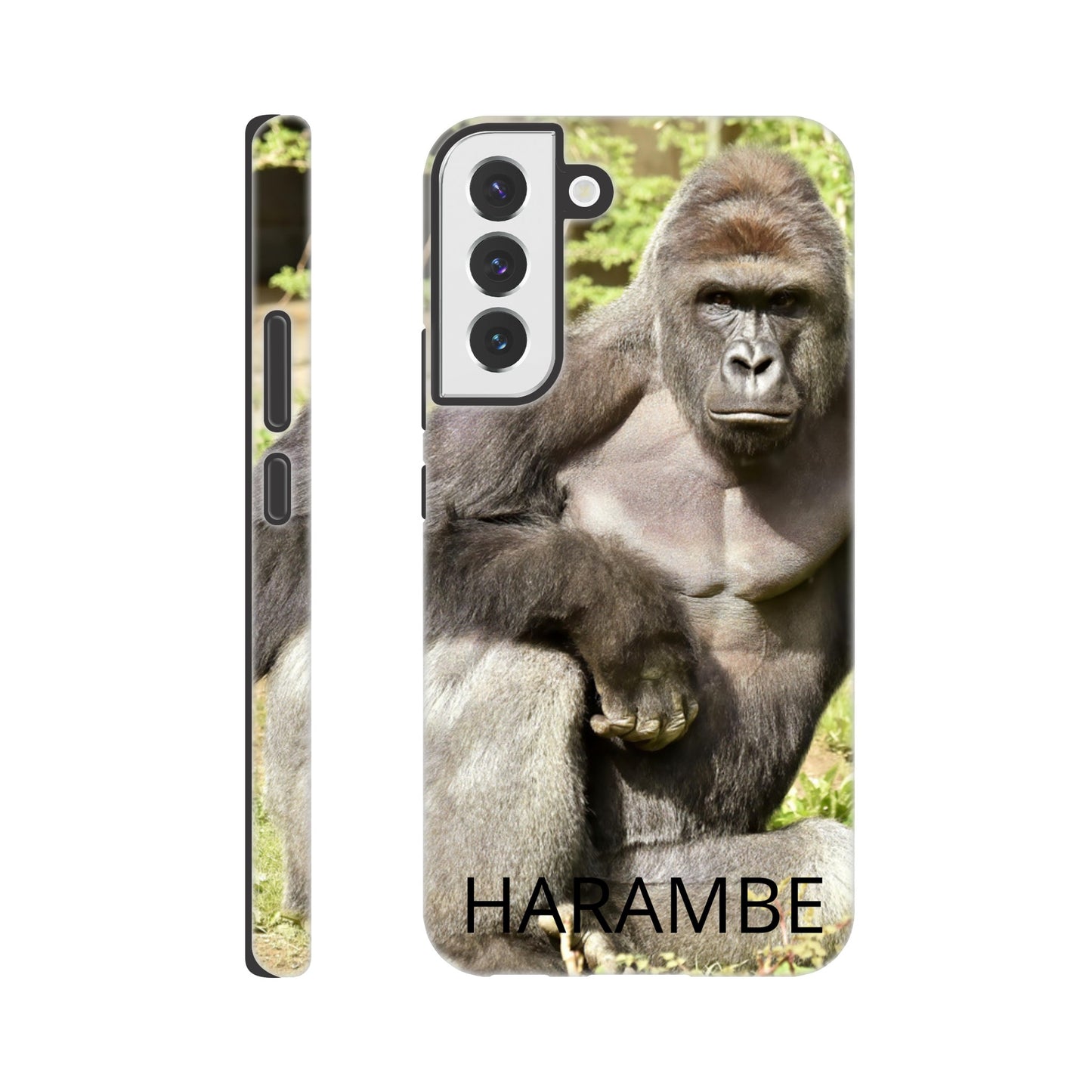 12119b18-f38b-4841-a874-39a0f2b4b8e9