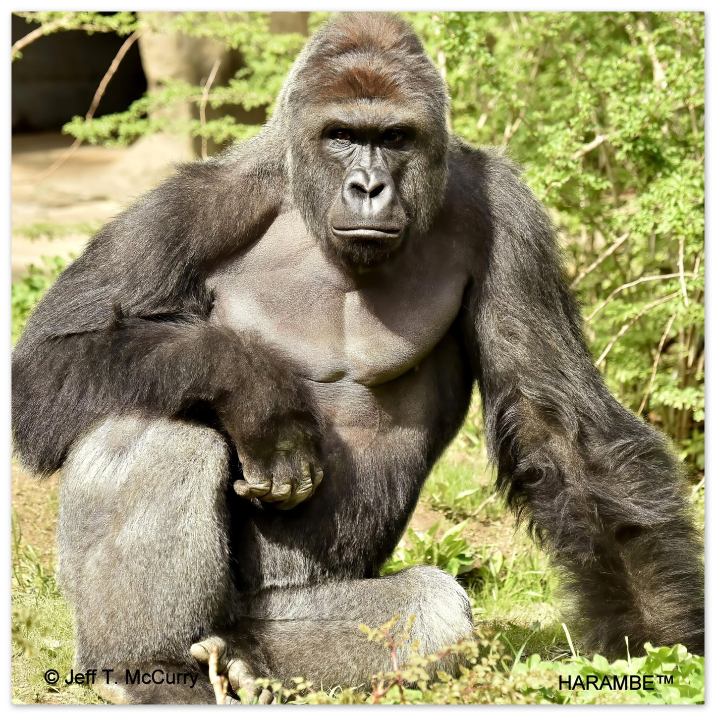 5e4c1c6f-a51b-4877-ac9e-ad6c7b0cfc1b