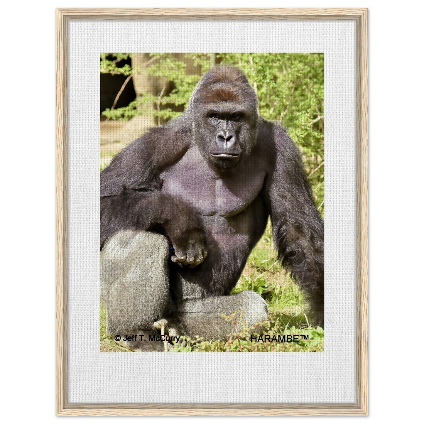 77e2a506-d491-4383-81bf-c04c4c1c875b