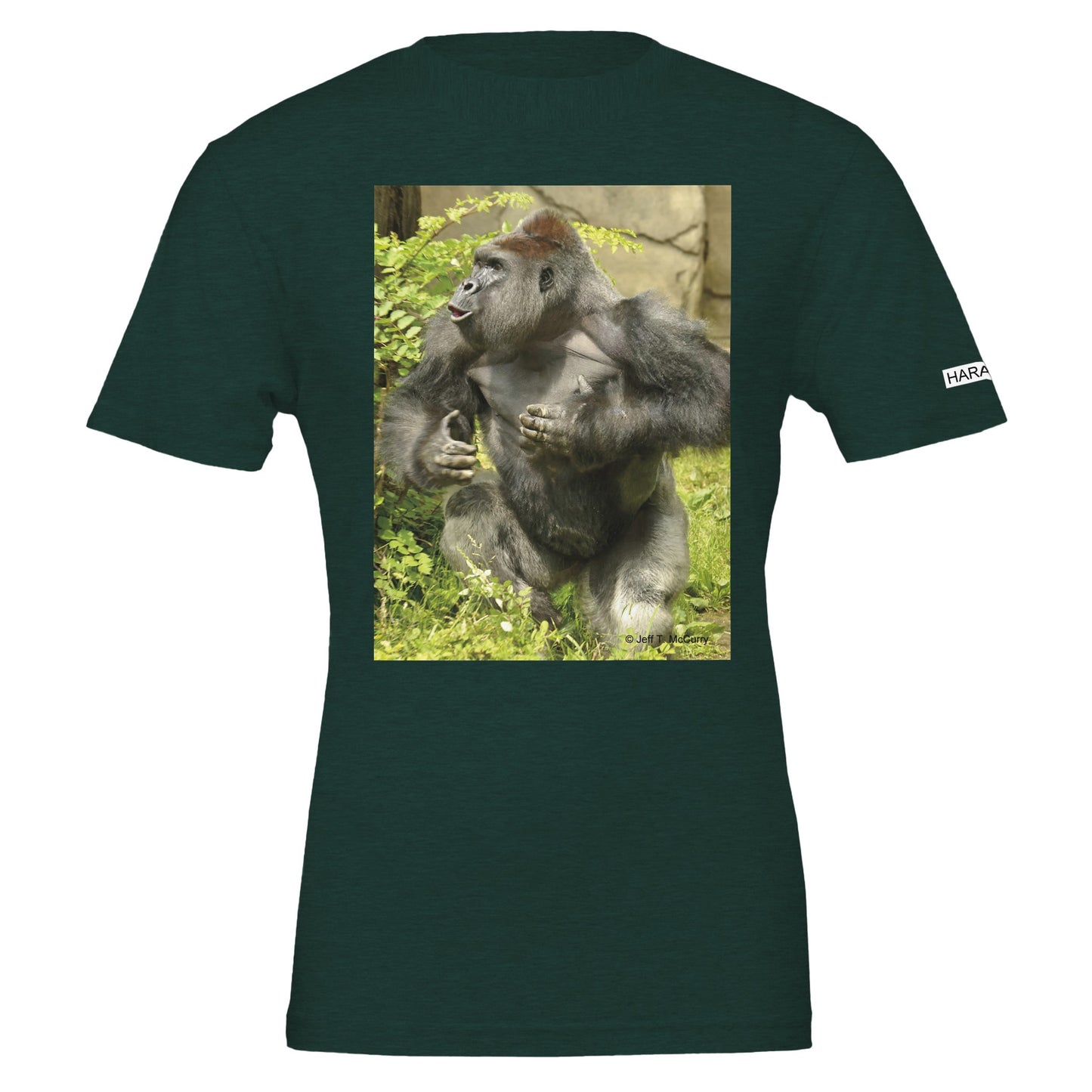 7e848015-0fd6-45fe-829f-97a93ff9e0f7