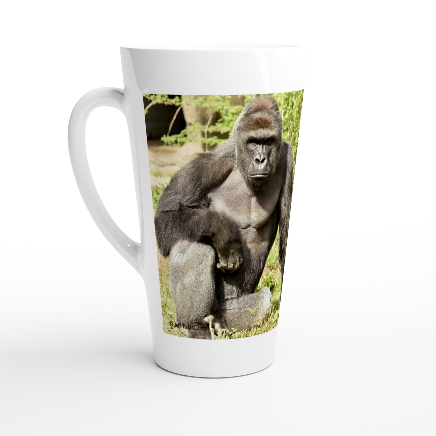 d319cbfa-800b-41b3-bf1f-eca16aa0529f